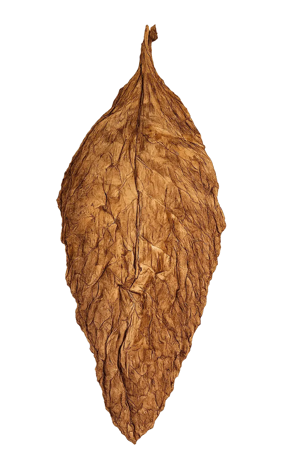 A single Throwback tobacco leaf