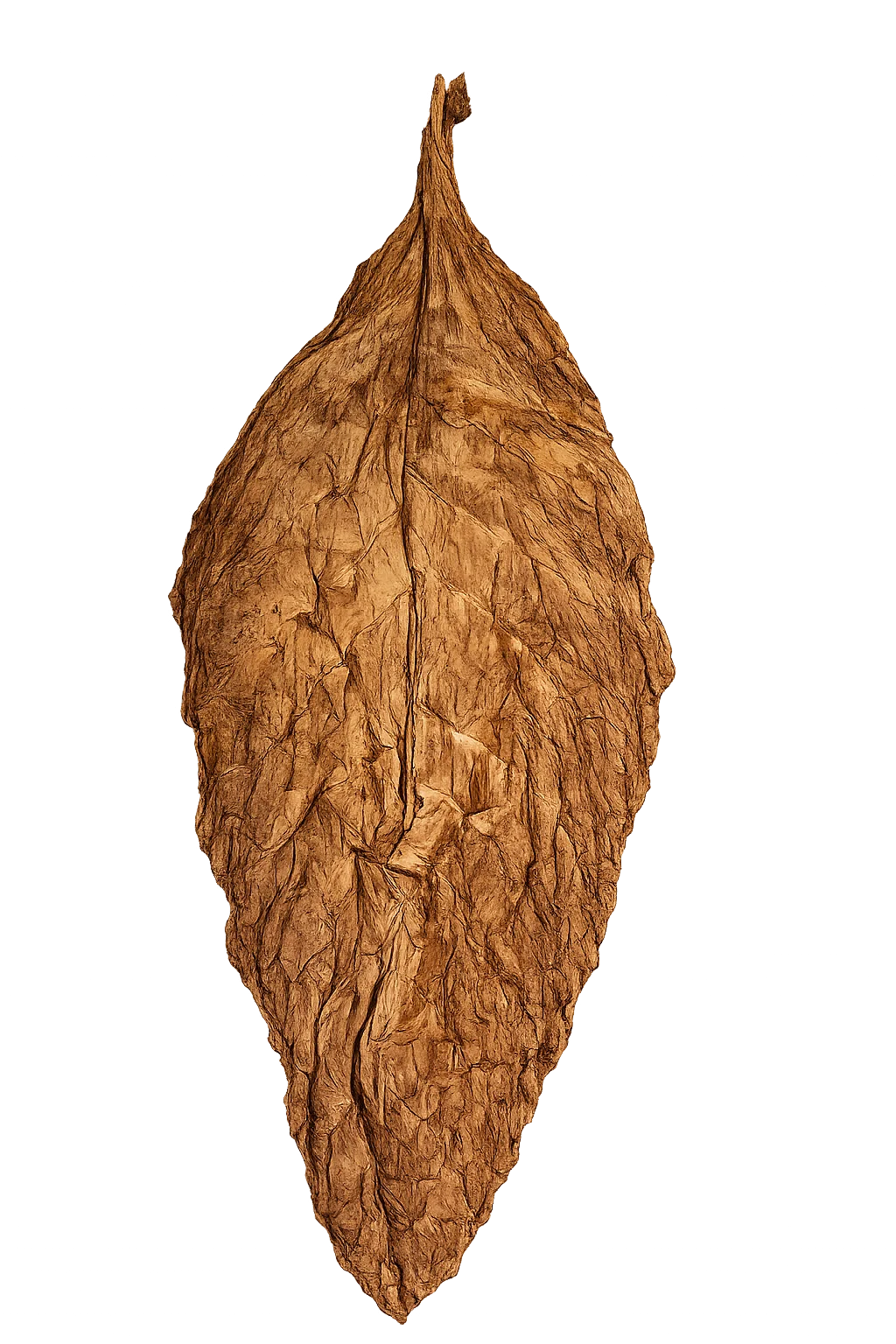 A single Throwback tobacco leaf